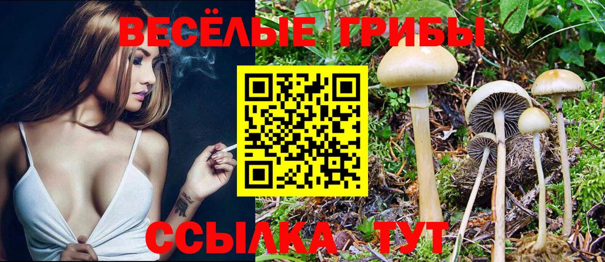 Псилоцибиновые грибы Psilocybine cubensis  Вход с VPN  Пугачёв 