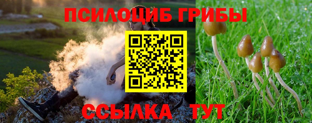 Галлюциногенные грибы Magic Shrooms Пугачёв